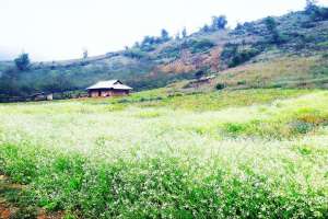 5 สิ่งที่ต้องทำหากไปเที่ยวหมกโจว